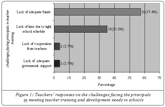 teacher-training-challenges